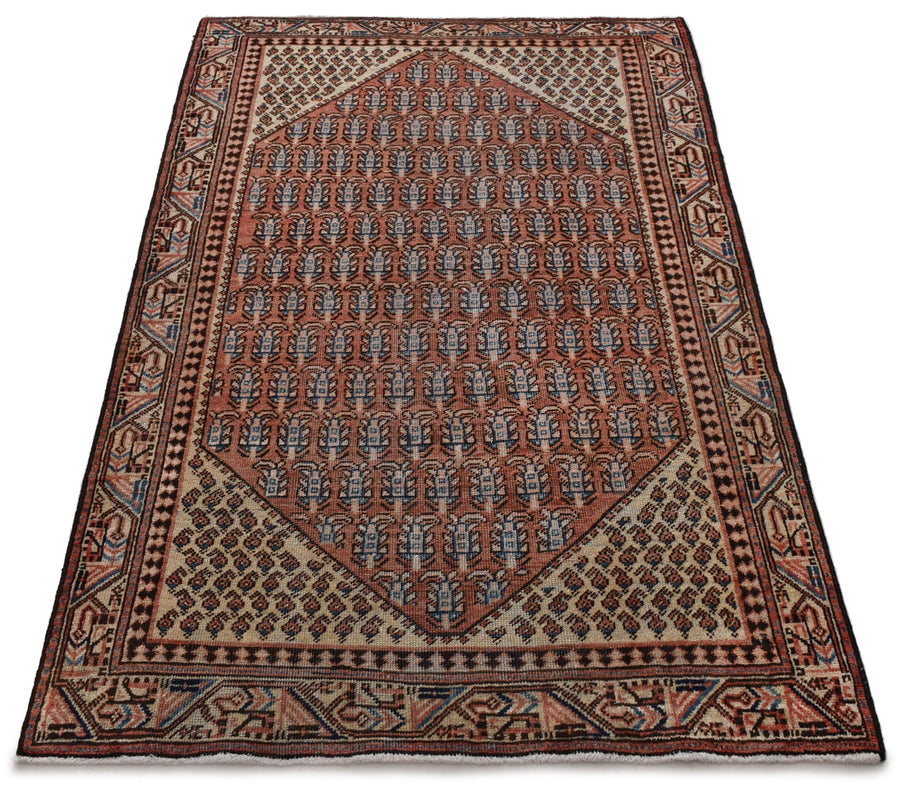 Saraband Samar (197cm x 113cm)