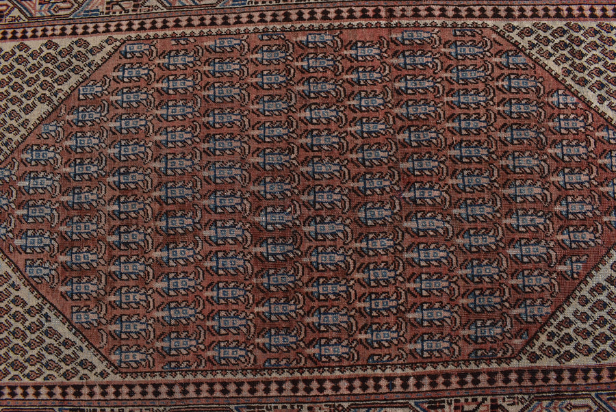 Saraband Samar (197cm x 113cm)