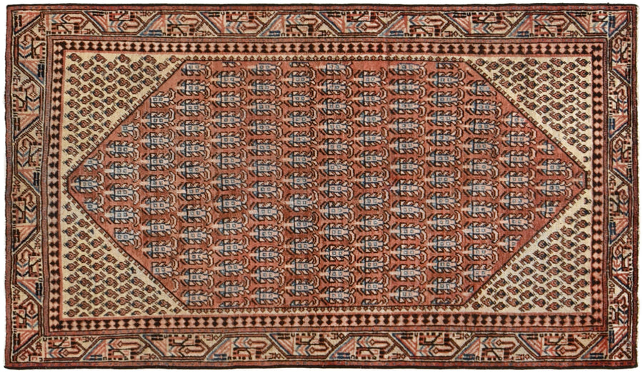 Saraband Samar (197cm x 113cm)