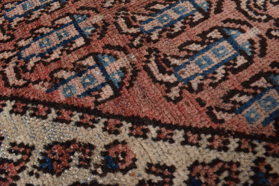 Saraband Samar (197cm x 113cm)