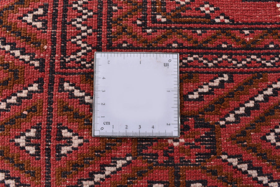 Torkman Gulzar (280cm x 203cm)
