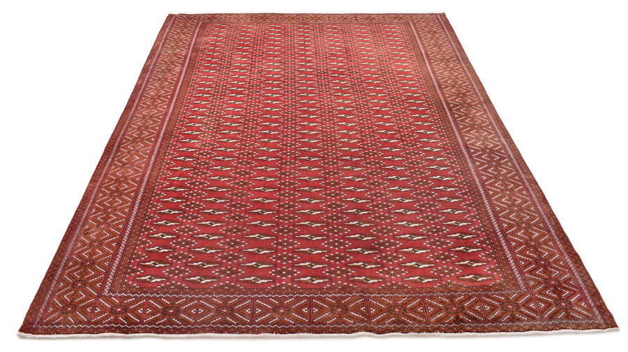 Torkman Gulzar (280cm x 203cm)