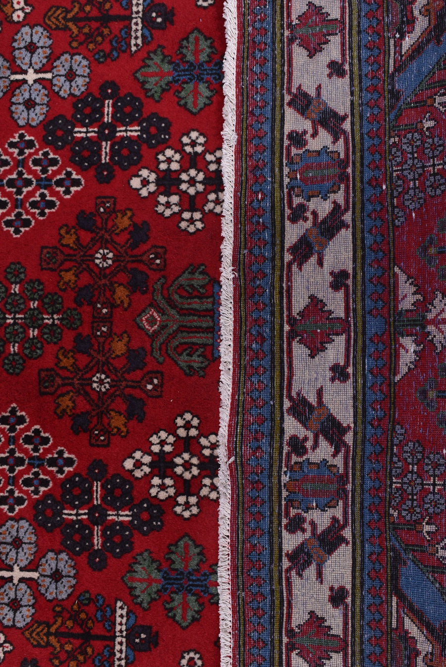 Meimeh Dariush (398cm x 122cm)