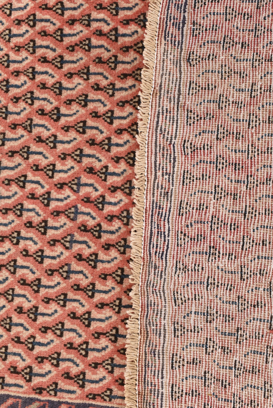 Sarough Mir Taraneh (131cm x 52cm)