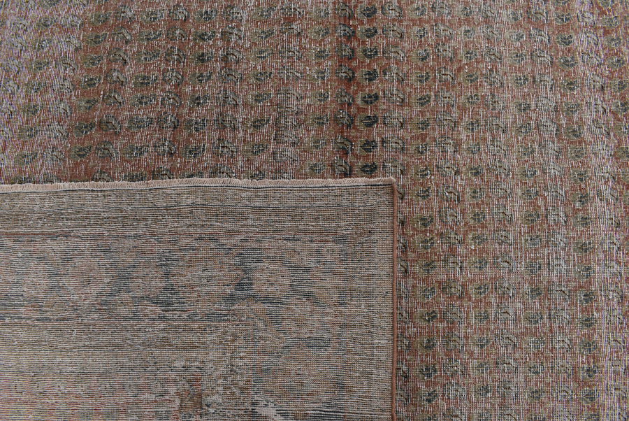 Selia (390cm x 291cm)