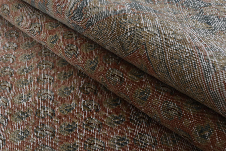 Selia (390cm x 291cm)