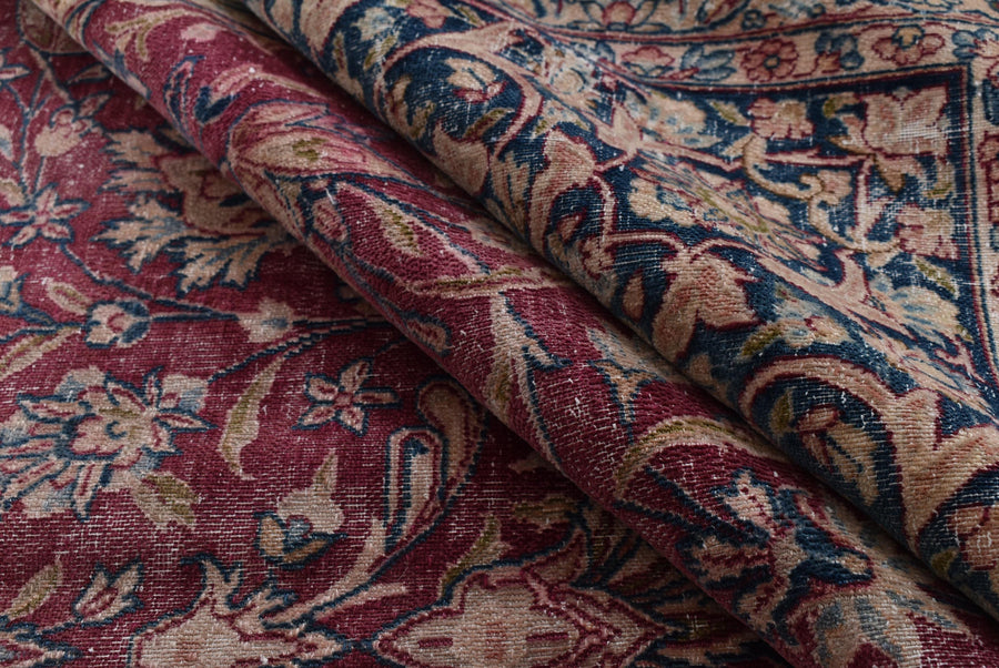 Samina (398cm x 303cm)