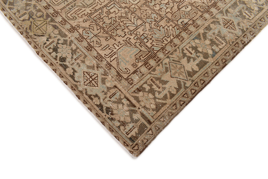 Aspian (311cm x 223cm)