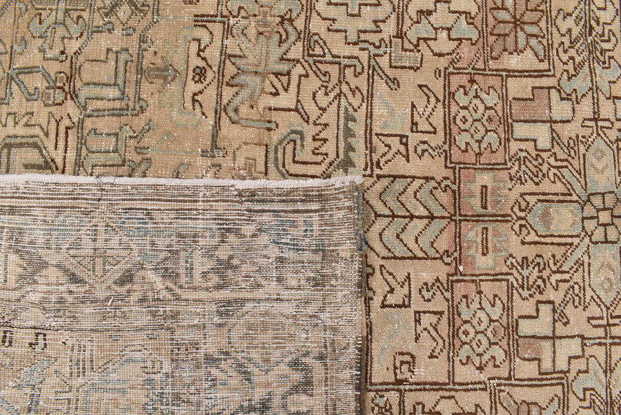 Aspian (311cm x 223cm)